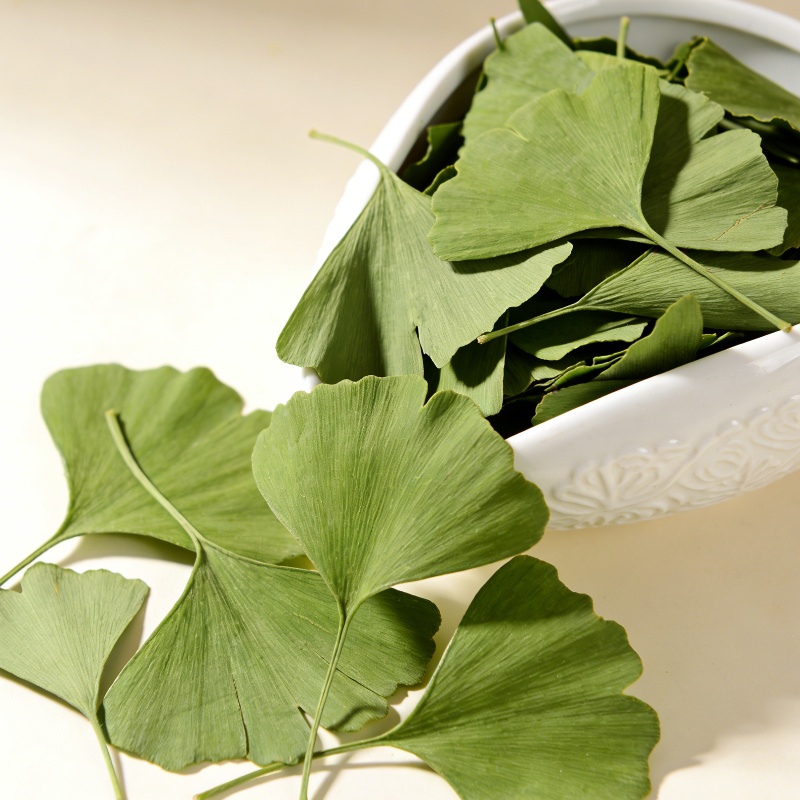Soap Making Essentials - Hochwertige getrocknete Ginkgo-Biloba-Blätter für Schönheit, Gesundheit,