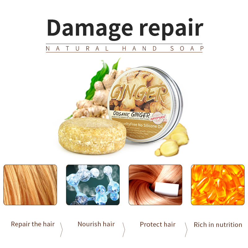 Shampoo-Seife Ingwer Feste Sha – Soap Making Fragrance Oil Bewertung und Preis
